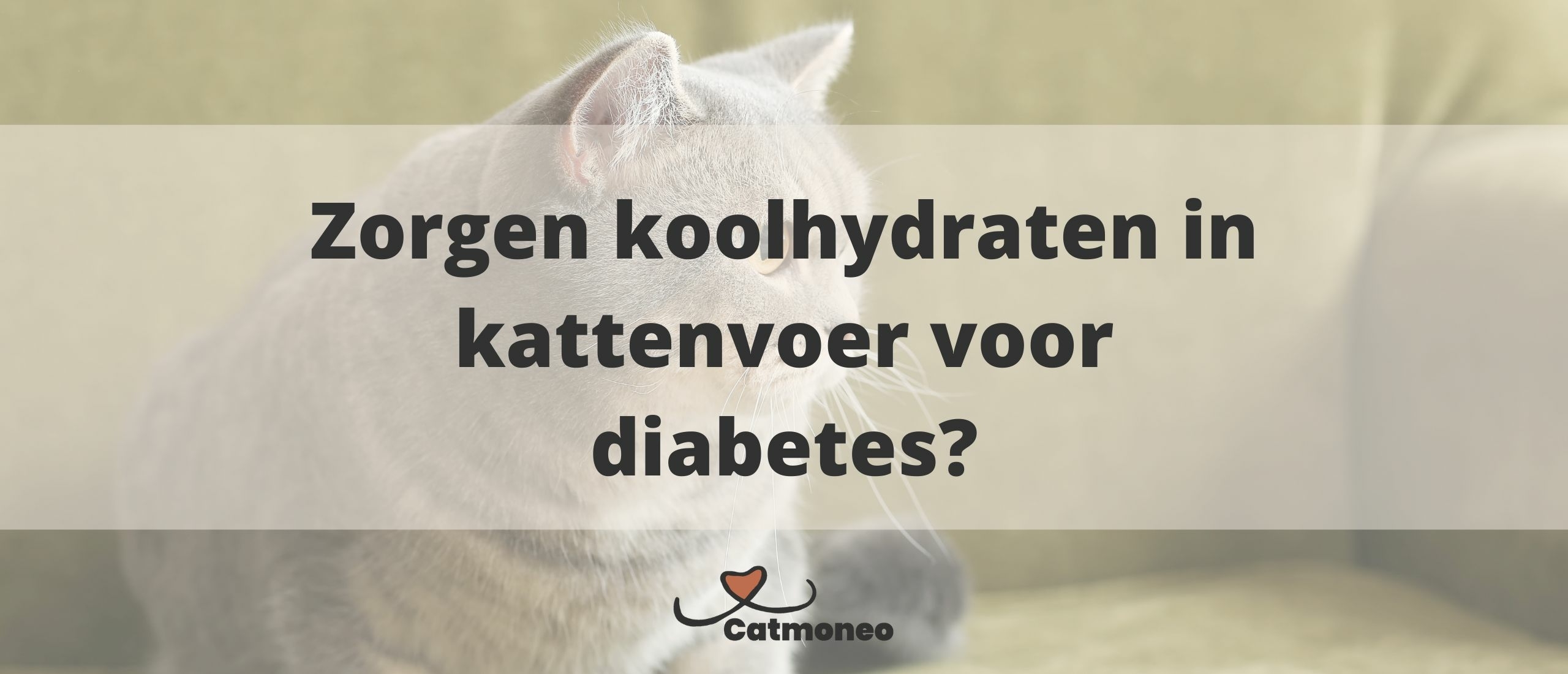Zorgen koolhydraten in kattenvoer voor diabetes?