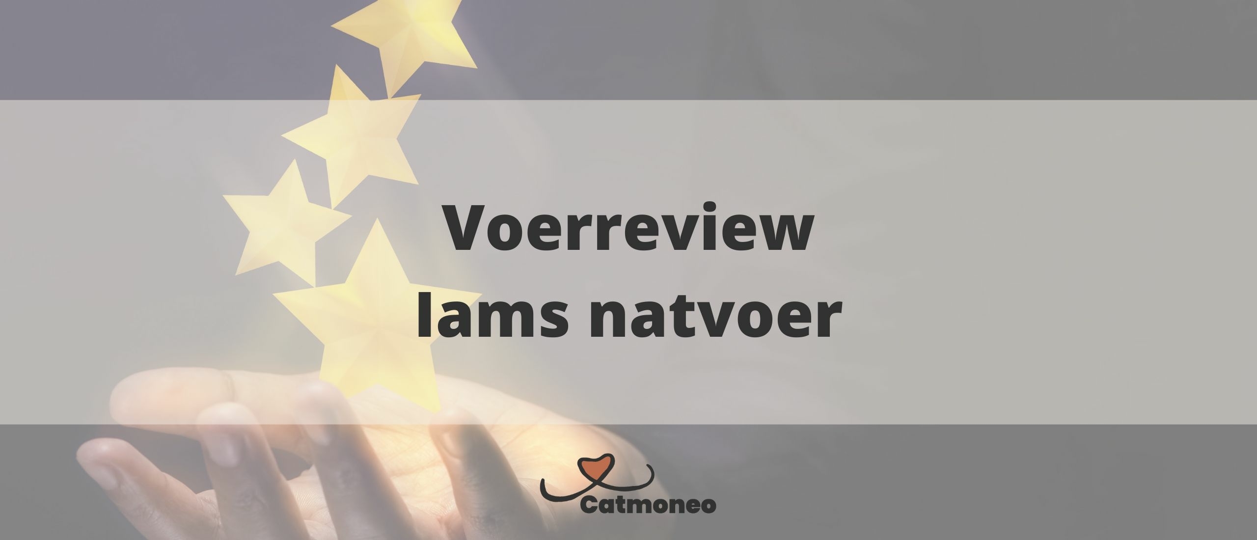 Iams natvoer