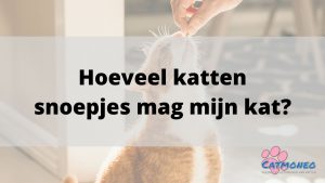 Hoeveel kattensnoepjes mag je kat