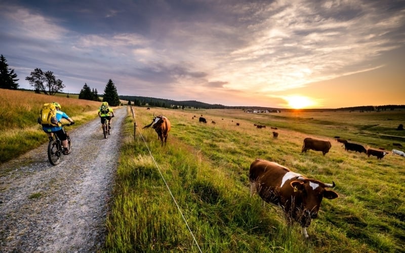 Reisetrends Tschechien 2026: Ruhe, verborgene Perlen und nachhaltige Ferien