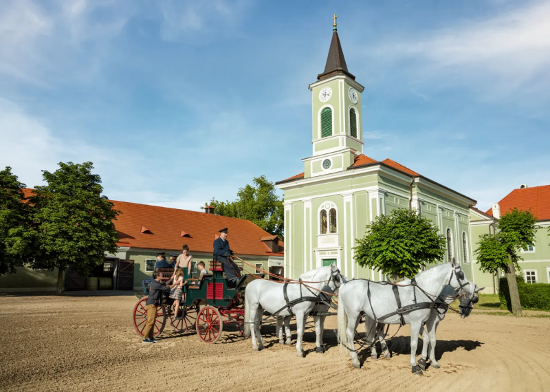 kladruby-nad-labem