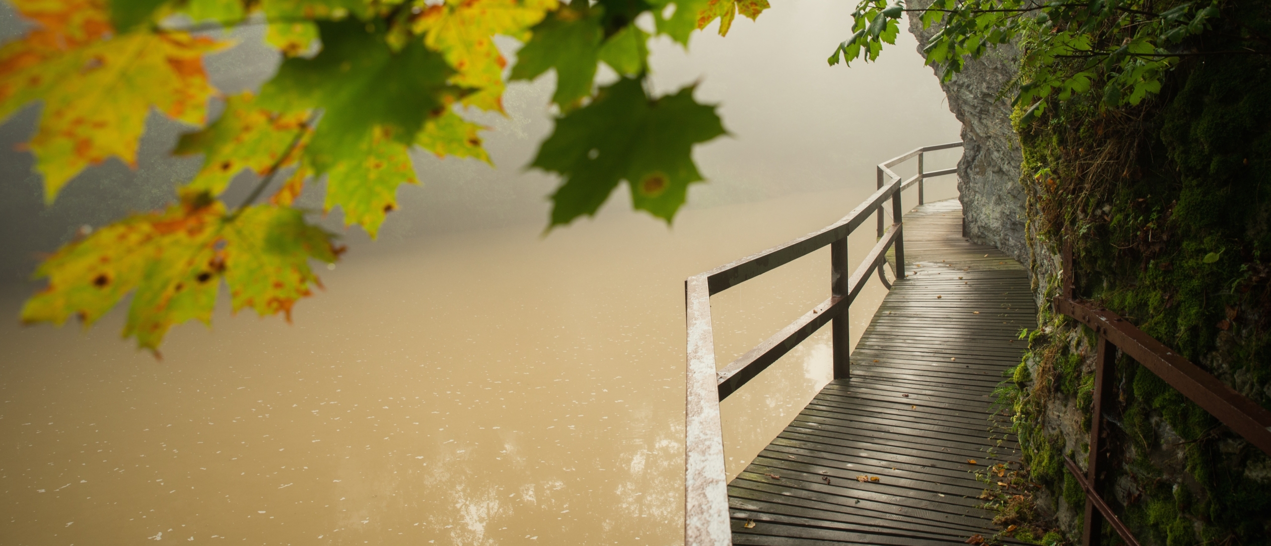 Die 5 schönsten Herbstspaziergänge in der tschechischen Natur