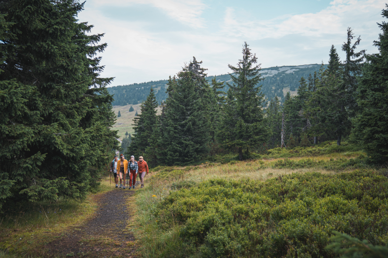 Wandern im Riesengebirge