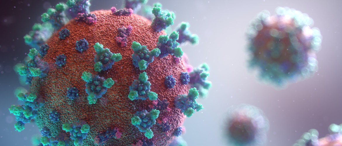 Coronavirus: Möglichkeiten für Ihre Buchung