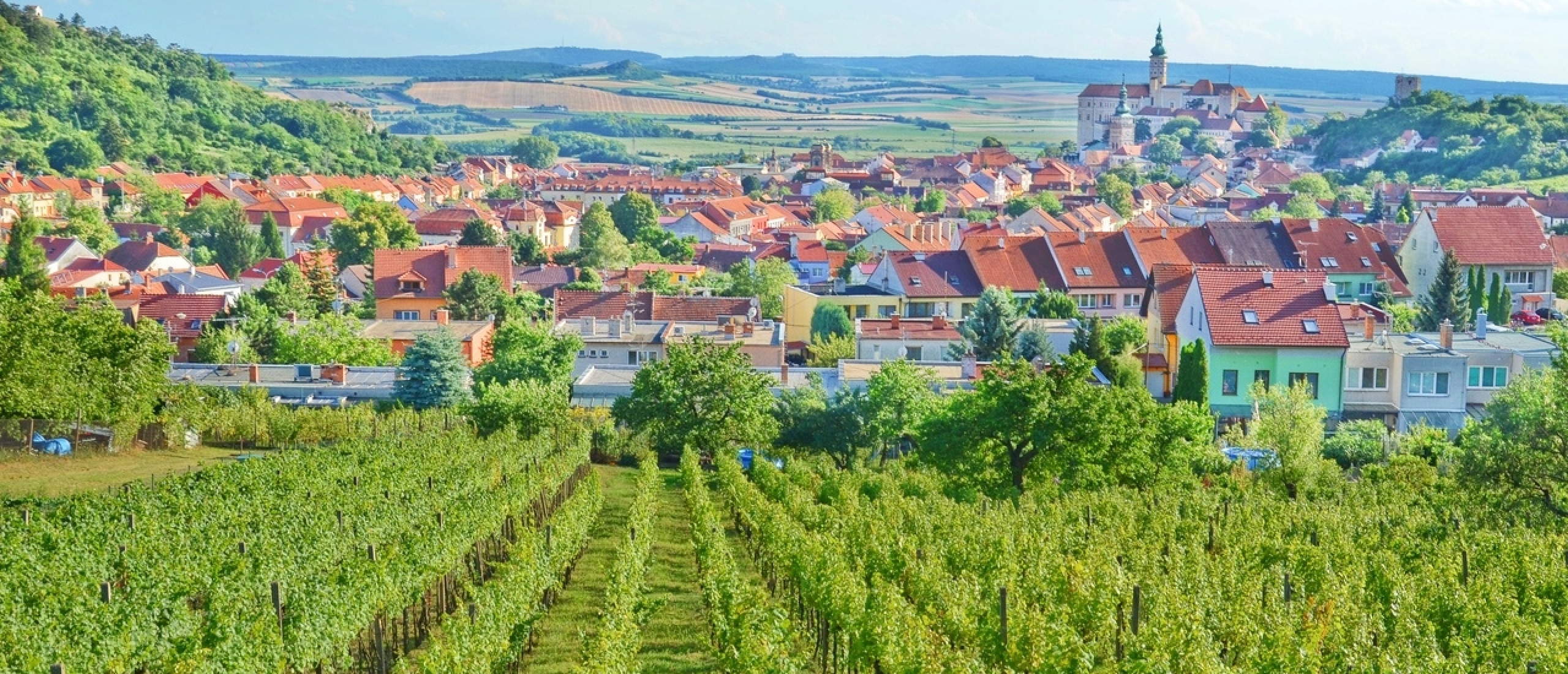 Zuid-Moravië - het wijnparadijs van Tsjechië