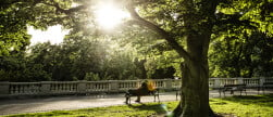 Parken, tuinen en markten in Praag