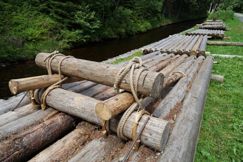 Timber Rafting