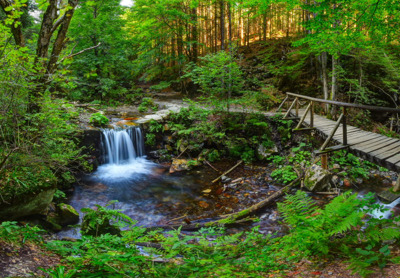 Bílá Opava-watervallen in Noord-Moravië