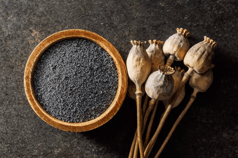 Tsjechisch blauw maanzaad Vysocina