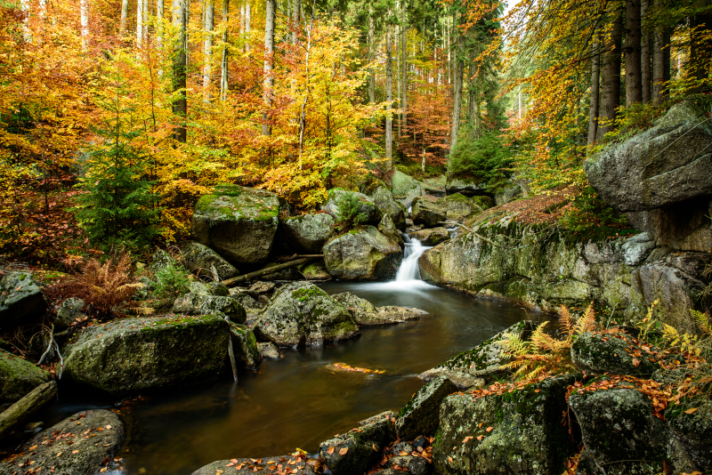 Cerna Desna waterval