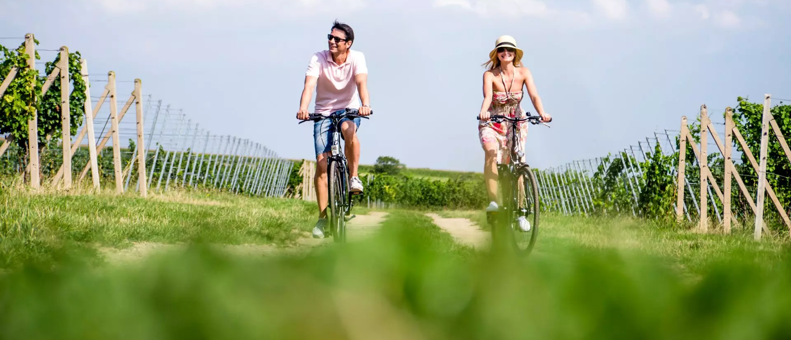 Fietsen en wijn in Noord- en Midden-Bohemen: een reis vol cultuur