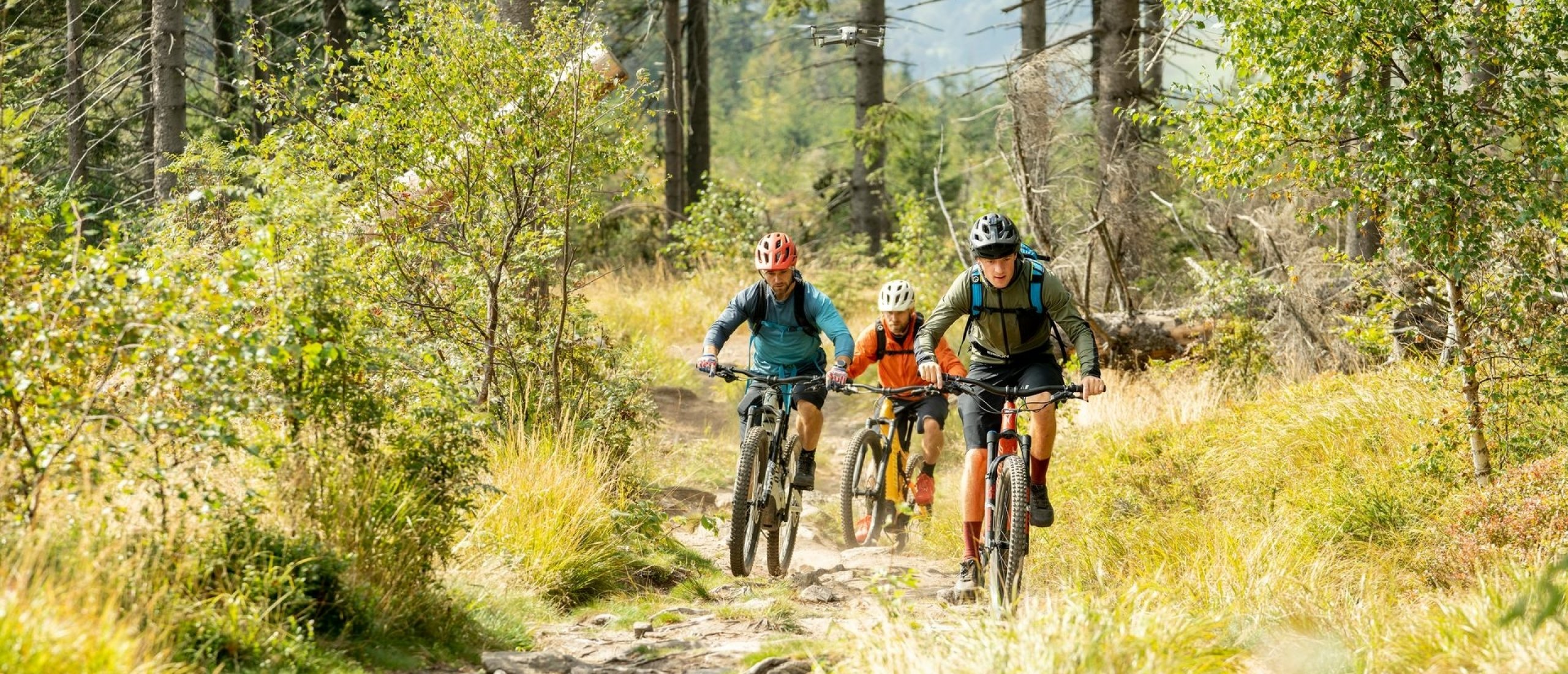 Actieve vakantie en ontspanning in Moravië-Silezië en Olomouc