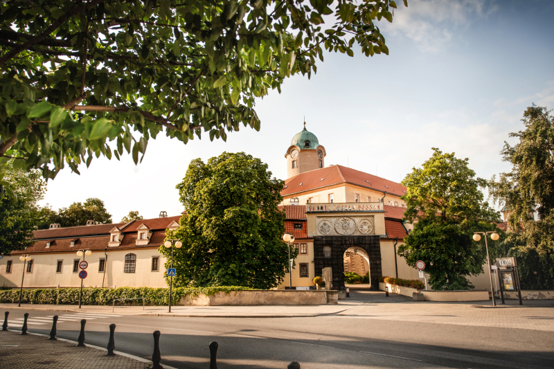 Wellness in Poděbrady