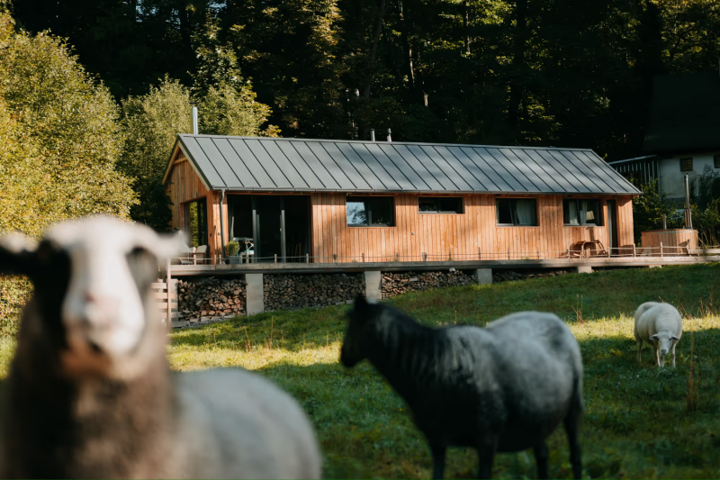 Tiny house IJzergebergte Tsjechië