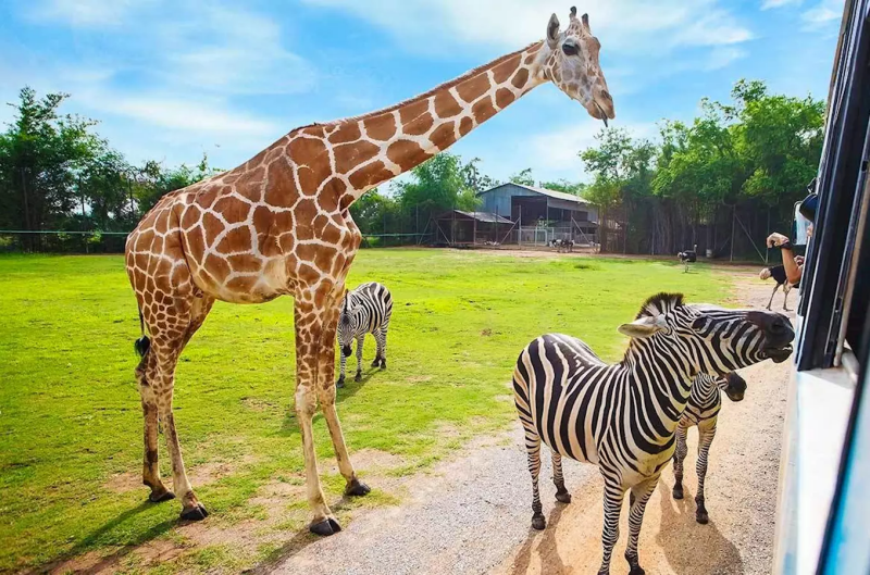 Zoo Dvur Kralove