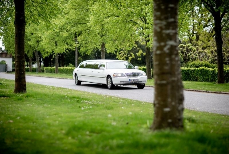 A white limousine parked on the road