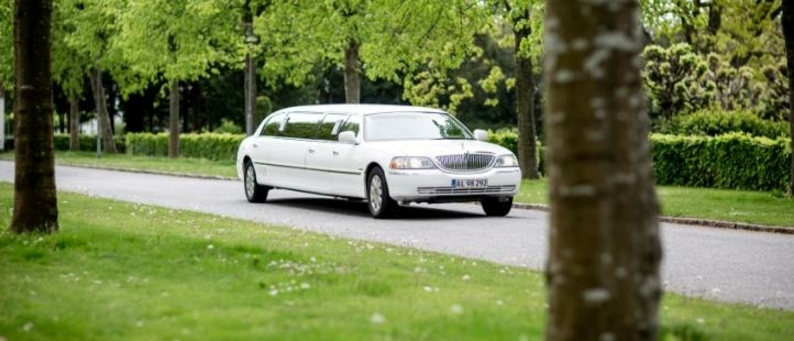 Five Things to Consider Before Hiring a Limo Service for a Wedding