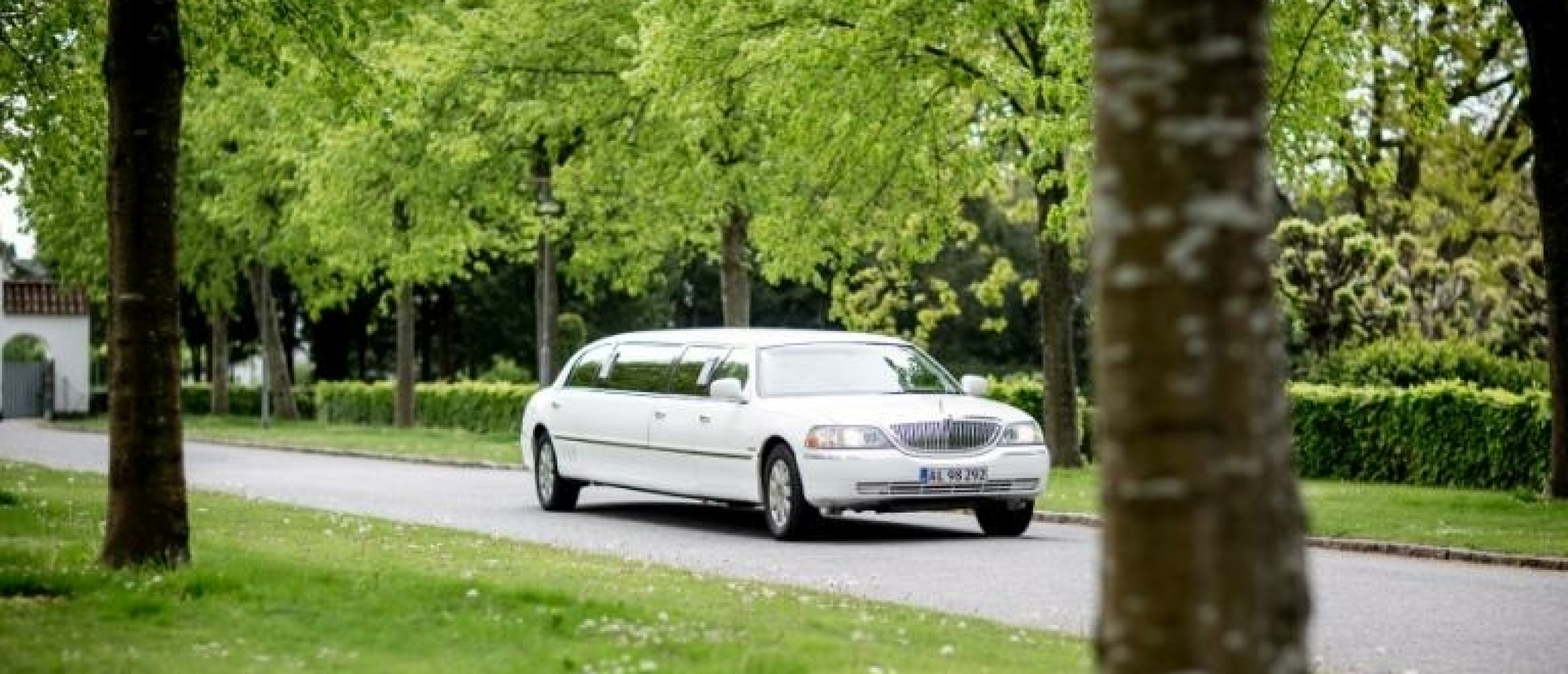 Reasons to Book a Limousine for Wedding Day