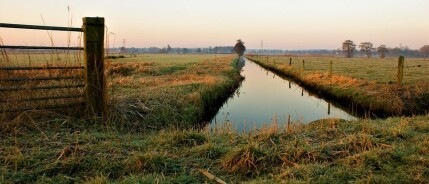 7 Top Outdoor Activities to do in the Netherlands