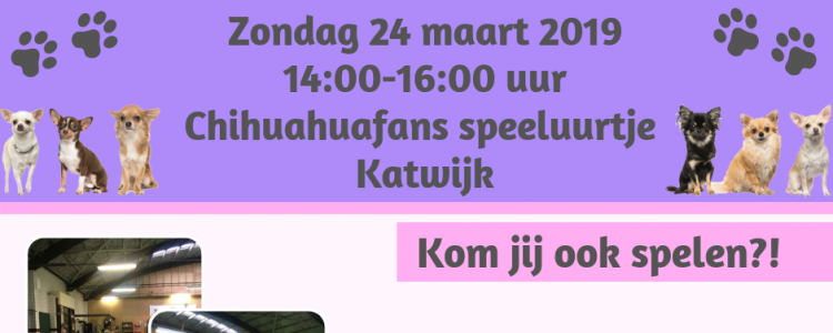 Chihuahuafans speeluurtje Katwijk 24-03-2019