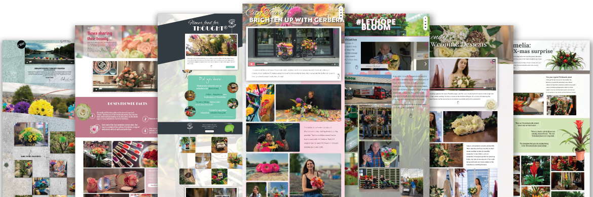 Cinefleur example pages Cinefleur example pages
