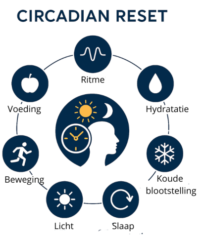 Circadian Reset