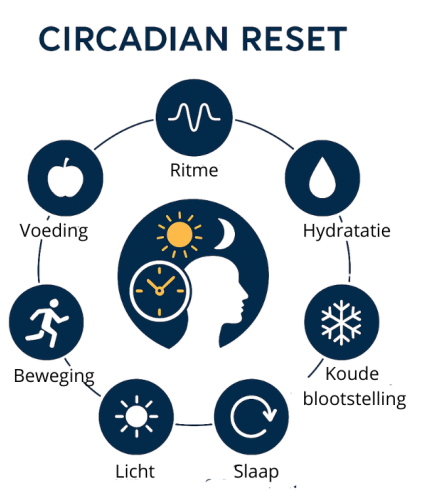 Circadian Reset