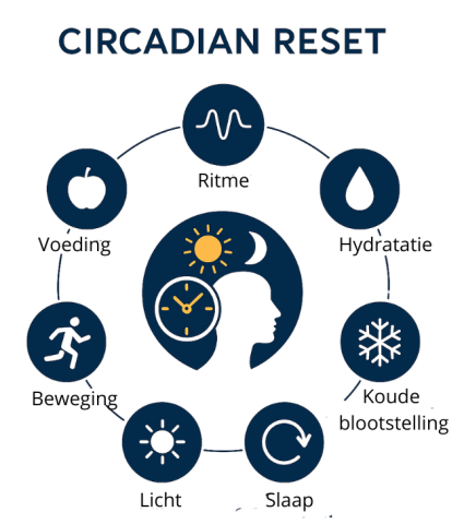 Circadian Reset