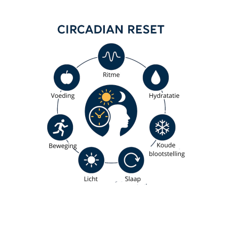 Circadian Reset