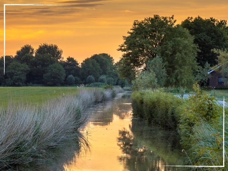 het-groningse-landschap-bij-winsum