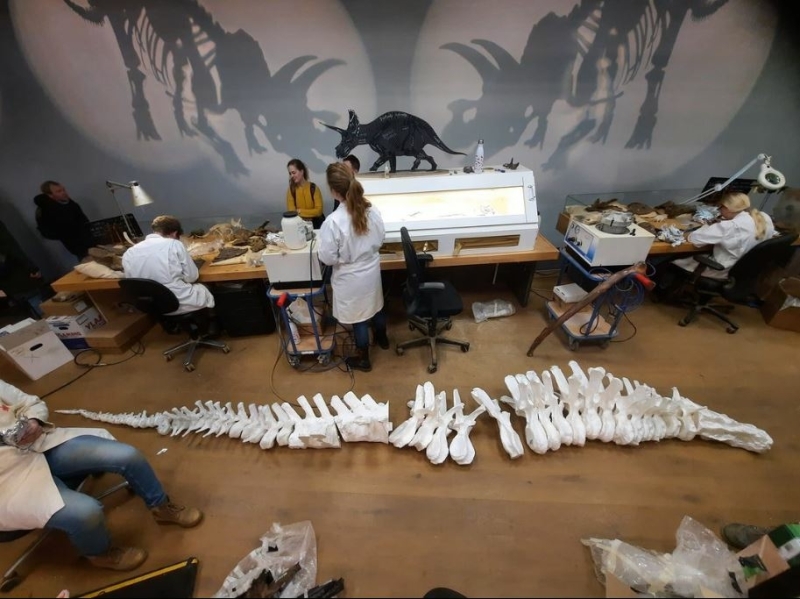 naturalis-leiden