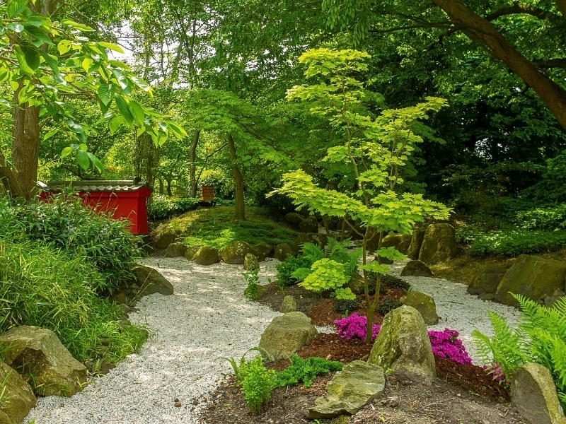 botanische-tuinen-leiden