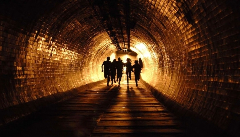 advies quizuitslag The Hunt