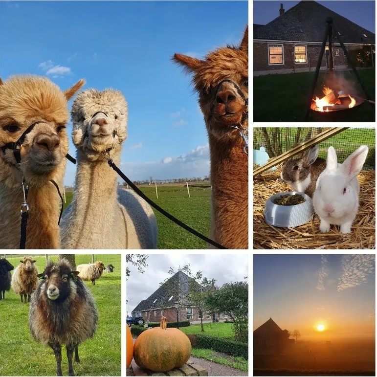 vakantieboerderij-huize-nuis-in-de-beemster