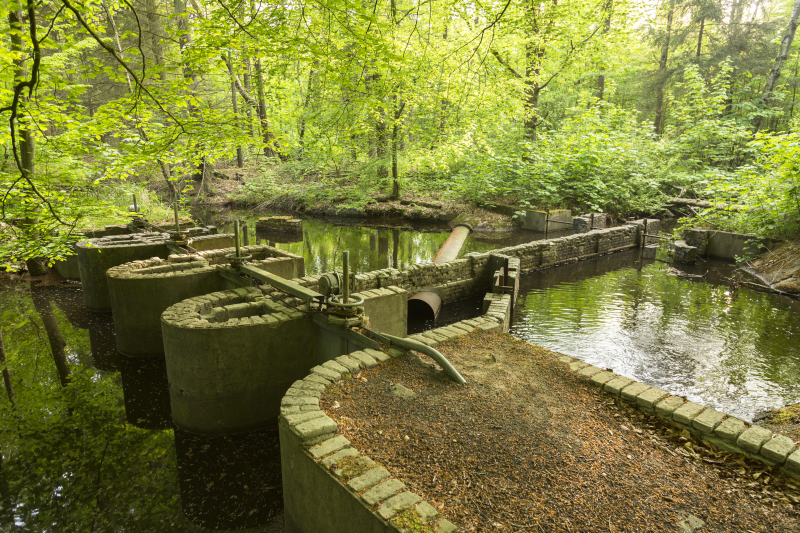 waterloopbos-natuurmonumenten_andries-de-la-lande-cremer