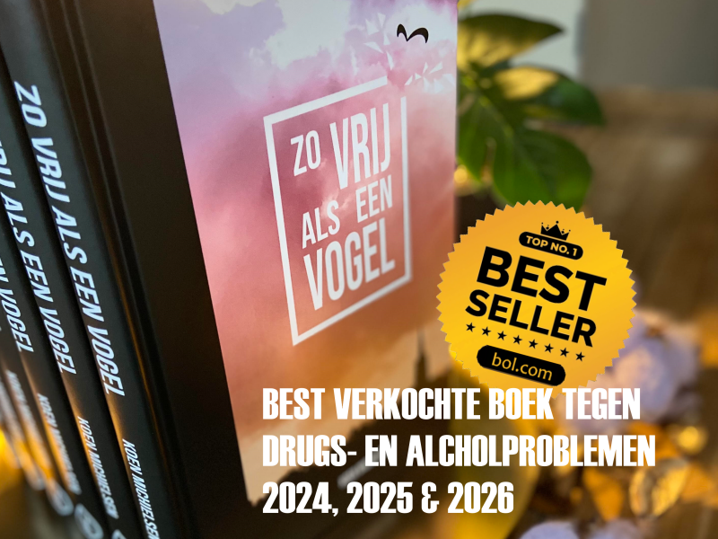Best verkochte boek tegen drugs- en alcoholproblemen 2024 2025 en 2026