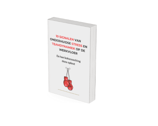 Bokscoaching voor bedrijven E-book teamdynamiek op de werkvloer