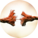 Relatietherapie met boksen