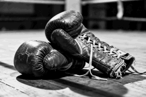 Bokstherapie Bokshandschoenen voor bokstherapie