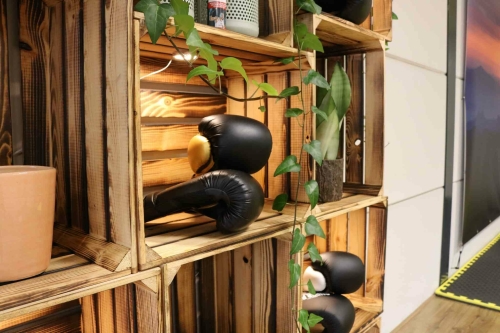 Bokstherapie in Haarlem