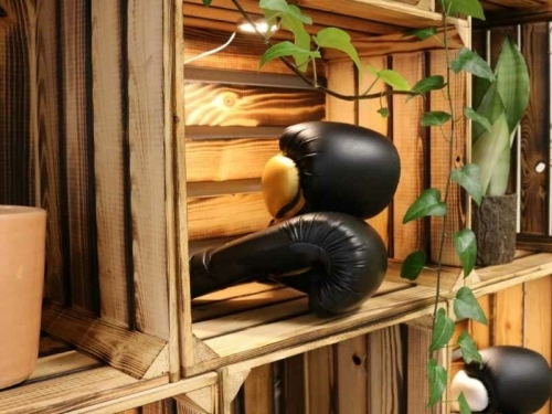 Bokstherapie in Haarlem De bokshandschoenen voor Bokstherapie