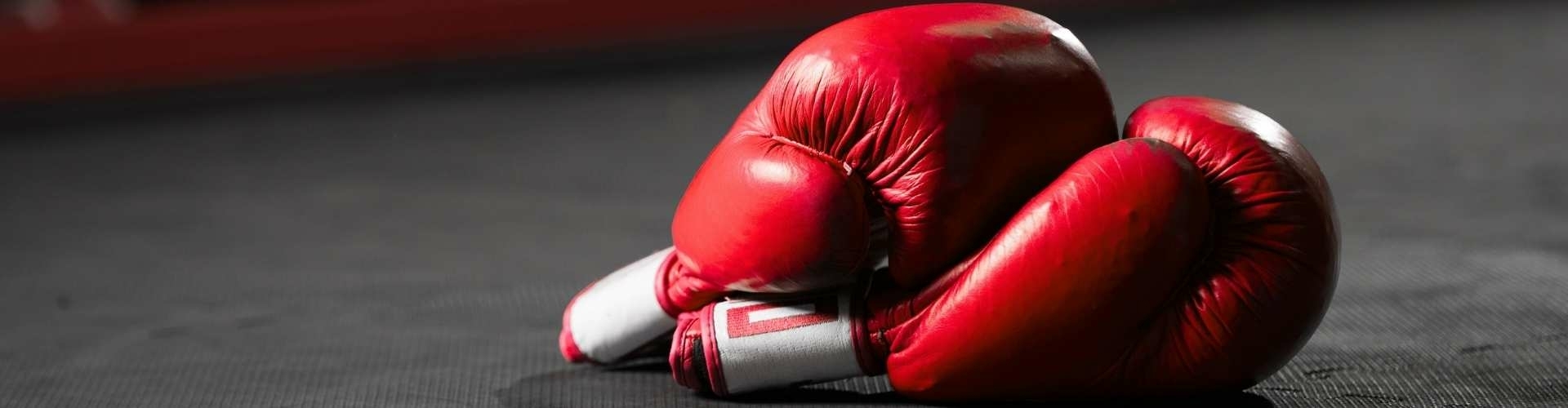 Bokstherapie in Haarlem Bokshandschoenen die klaar liggen voor een sessie Bokstherapie