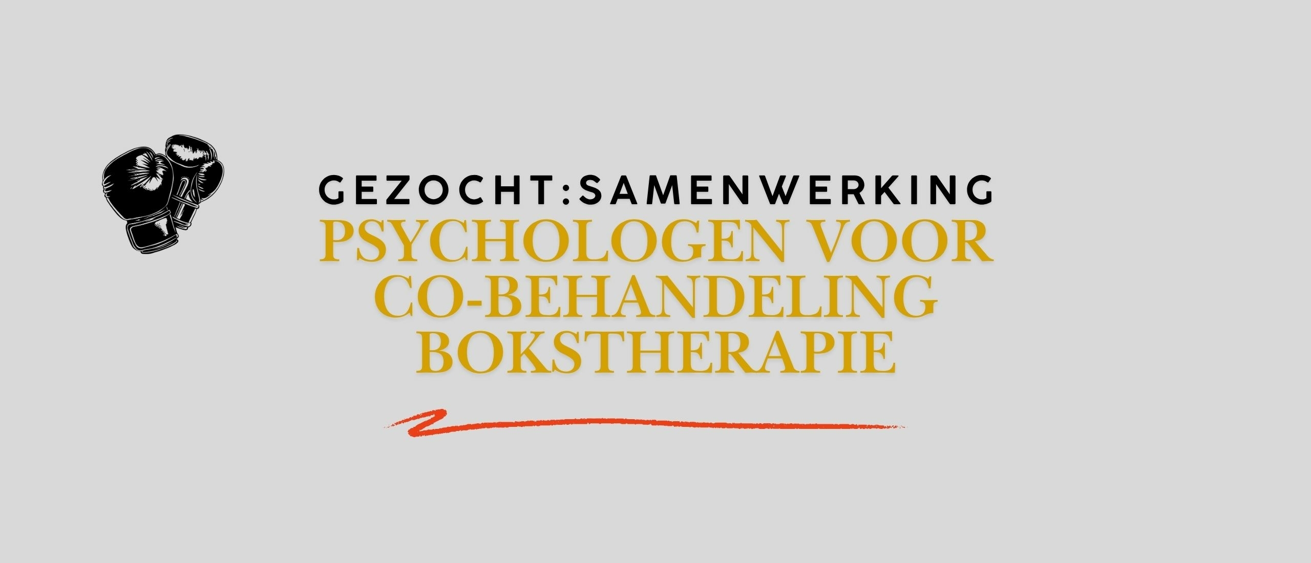 Gezocht: psychologen voor co-behandeling van trauma met bokstherapie
