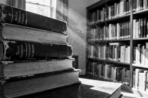 Gratis informatie Coaching by Koman Waardevolle gratis informatie bij Coaching by Koman