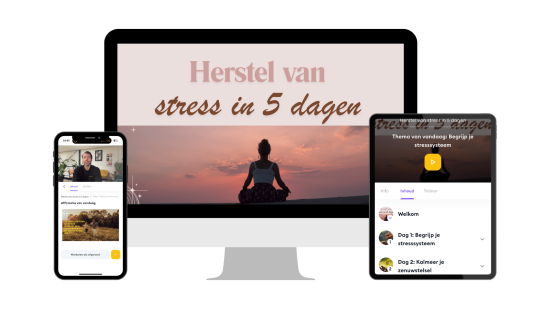 Ik wil een training tegen chronische stress