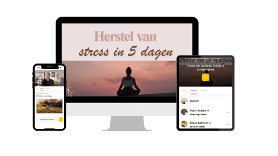 Een 5 daagse cursus om te herstellen van chronische stress