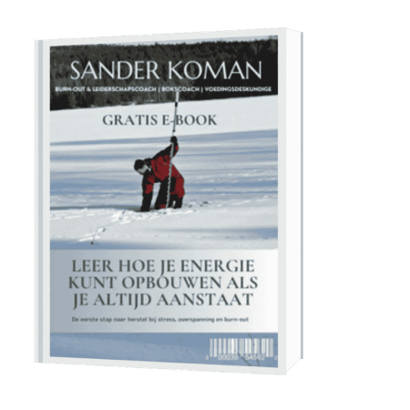 Onze e-book hoe je kunt leren hoe je energie op kunt bouwen als je altijd aanstaat