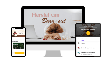 Ik zoek een Burn-out coach programma online