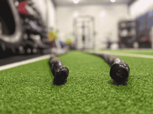 Locatie personal training haarlem