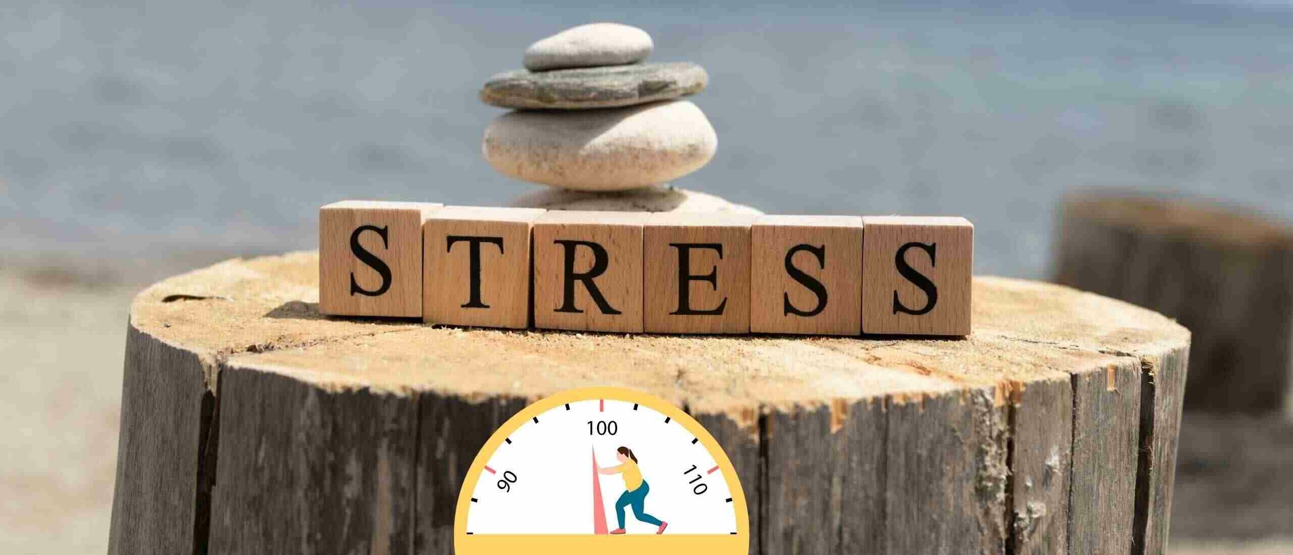 Stress en afvallen: waarom val je niet af als je te veel stress hebt?